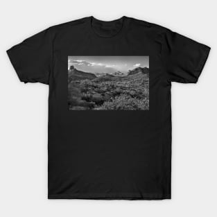 Desert Landscape In Black And White T-Shirt